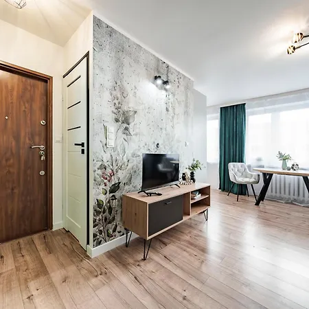 Citystay Przestronny Przy Ul Slaskiej Daire *