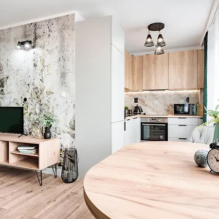 Citystay Przestronny Przy Ul Slaskiej Daire *